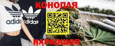 PSILOCYBIN Новоалександровск