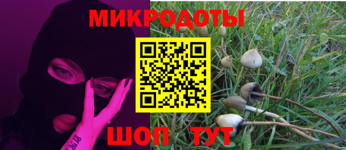 Ахтубинск  Галлюциногенные грибы мухоморы  Вход с VPN 